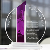 centers of excellence